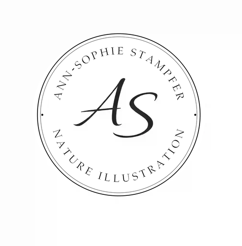 Logo: Ann-Sophie Stampfer, Nature Illustration